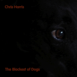 The Blackest of Dogs